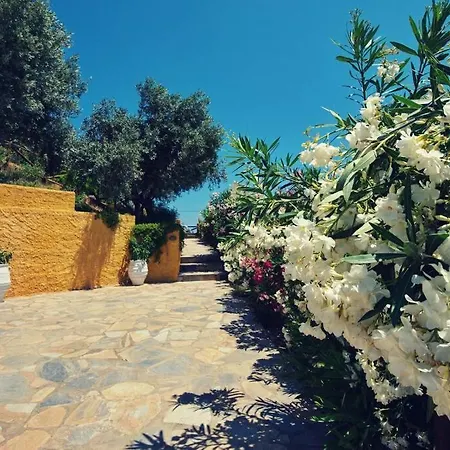 The Stone House! * Alonnisos Town